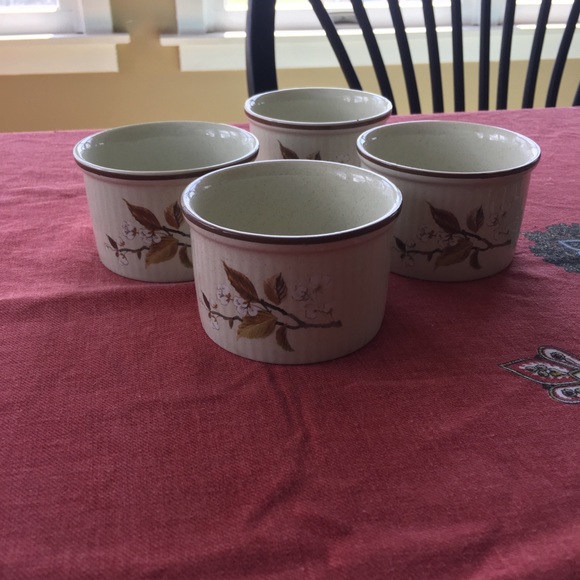 4 Ramekins mini soufflé baking wild cherry dish